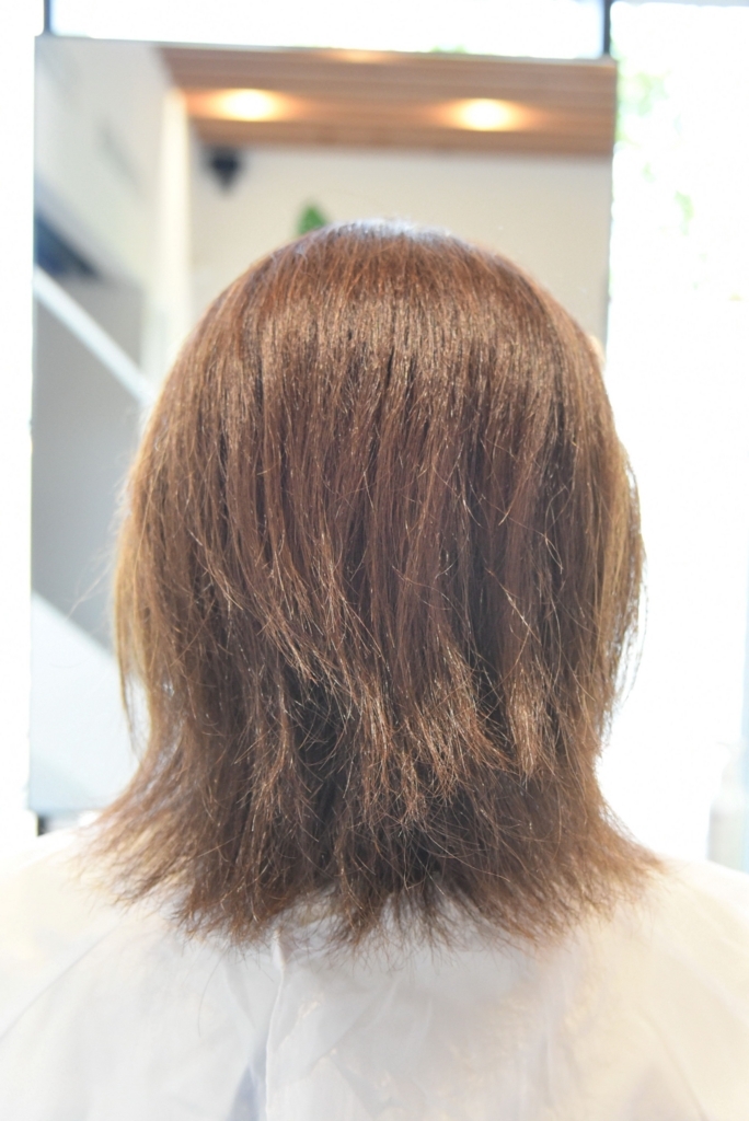 f:id:GOIS:20180822235022j:plain f:id:GOIS:20180822235022j:plain