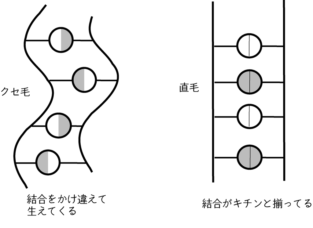 f:id:GOIS:20180908231244j:plain f:id:GOIS:20180908231244j:plain