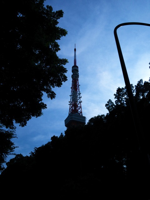 Tokyo Tower (5)