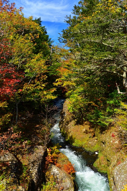 DSC_7459