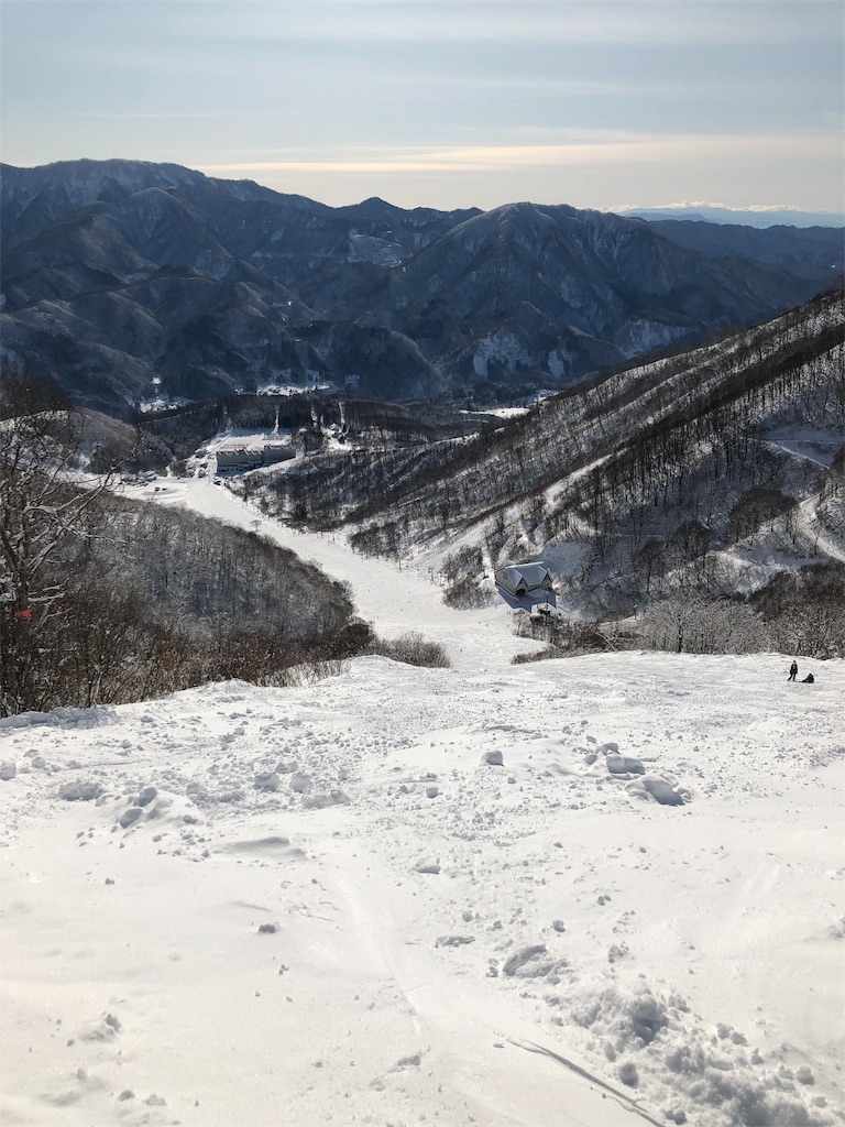 f:id:GORYU:20200207154504j:image