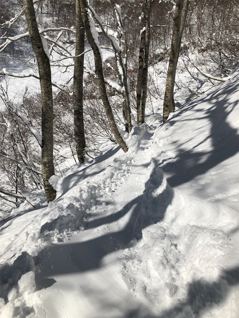 f:id:GORYU:20200207154547j:image
