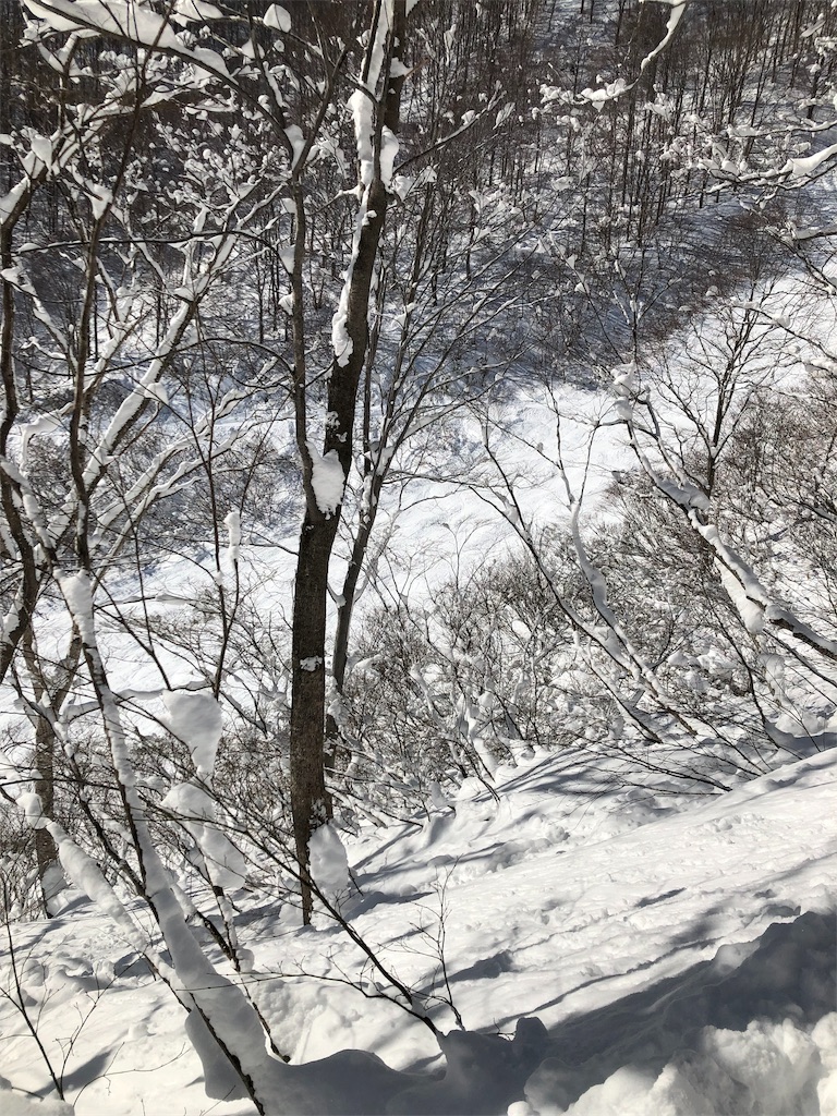 f:id:GORYU:20200207154559j:image