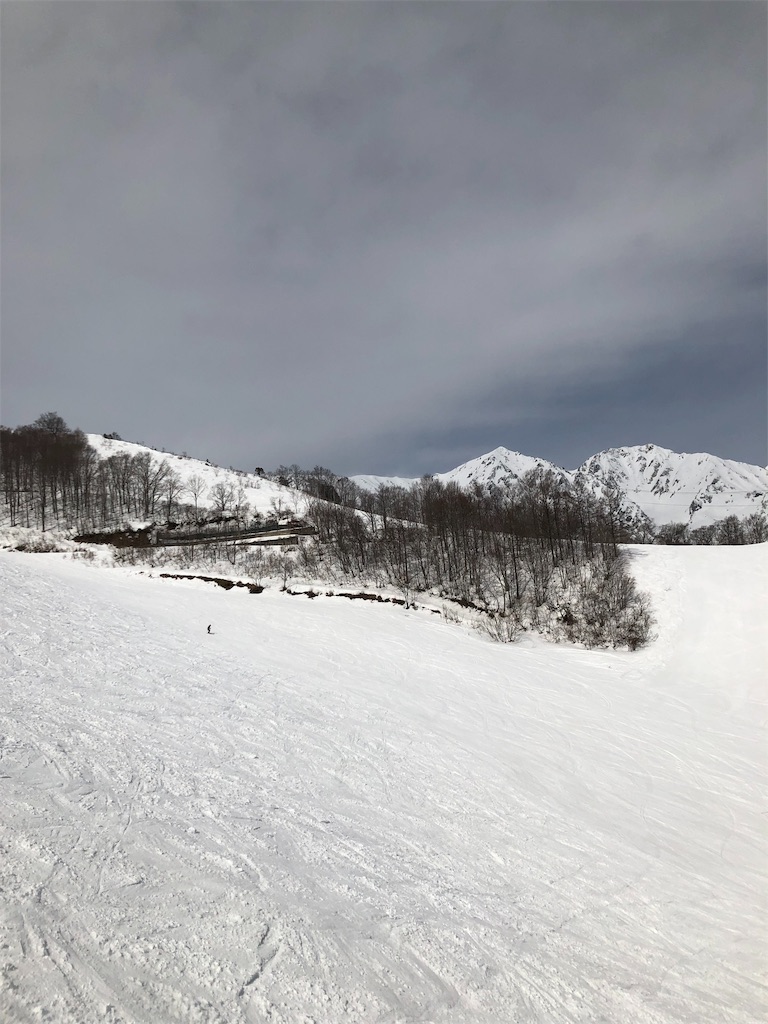 f:id:GORYU:20200313131957j:image f:id:GORYU:20200313131957j:image