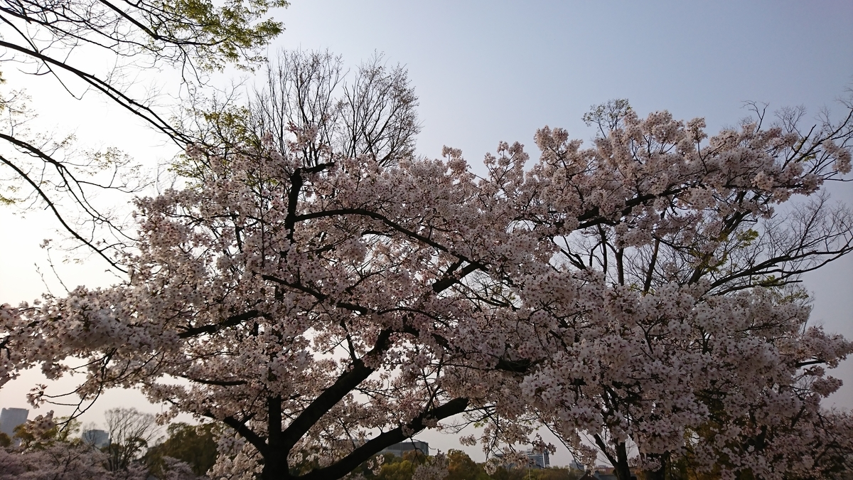 f:id:GOSE:20190409214223j:plain