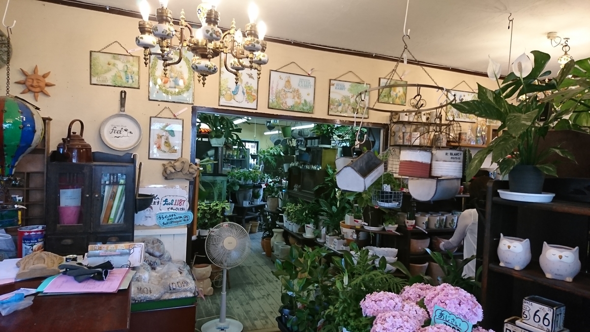 f:id:GOSE:20190522214501j:plain