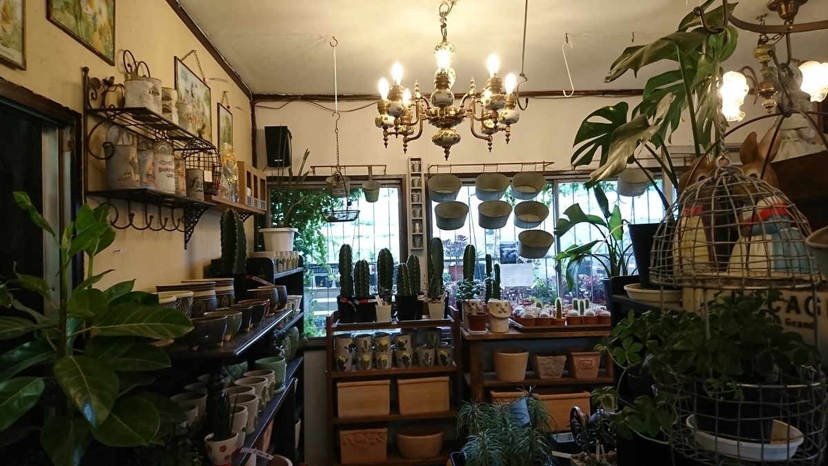 f:id:GOSE:20190522214549j:plain