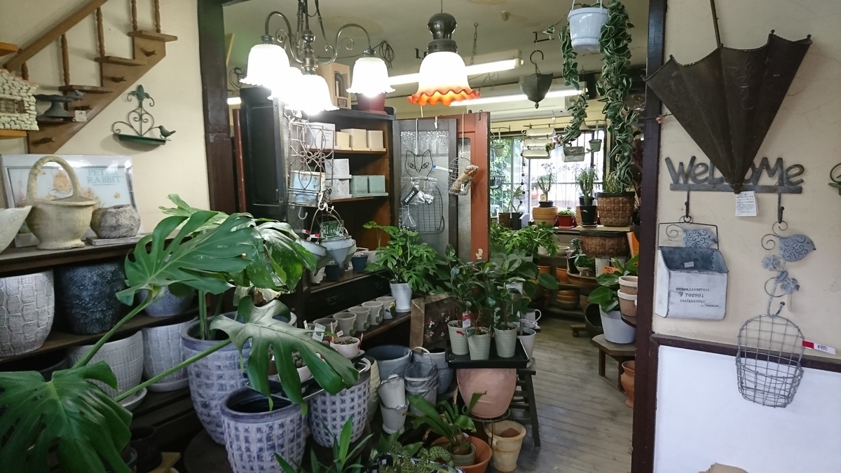 f:id:GOSE:20190522215610j:plain