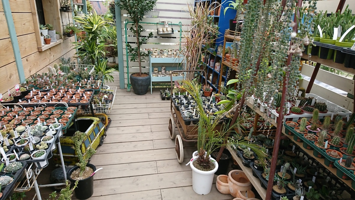f:id:GOSE:20190522220529j:plain