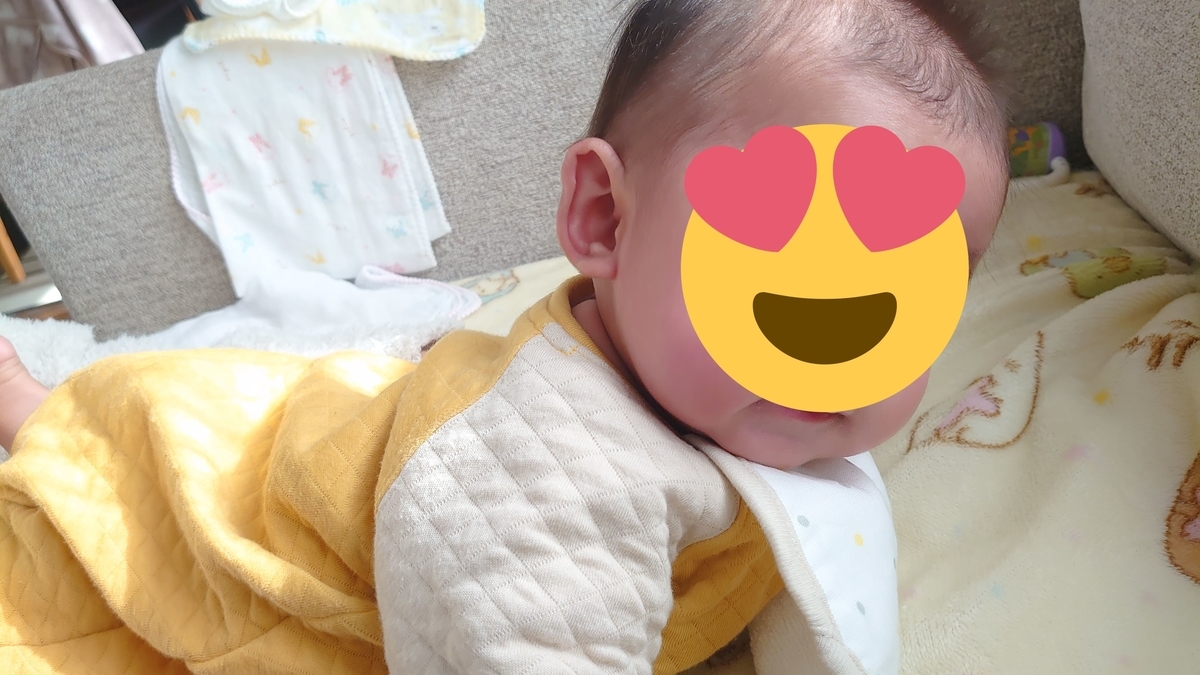 f:id:GOSE:20210512203048j:plain