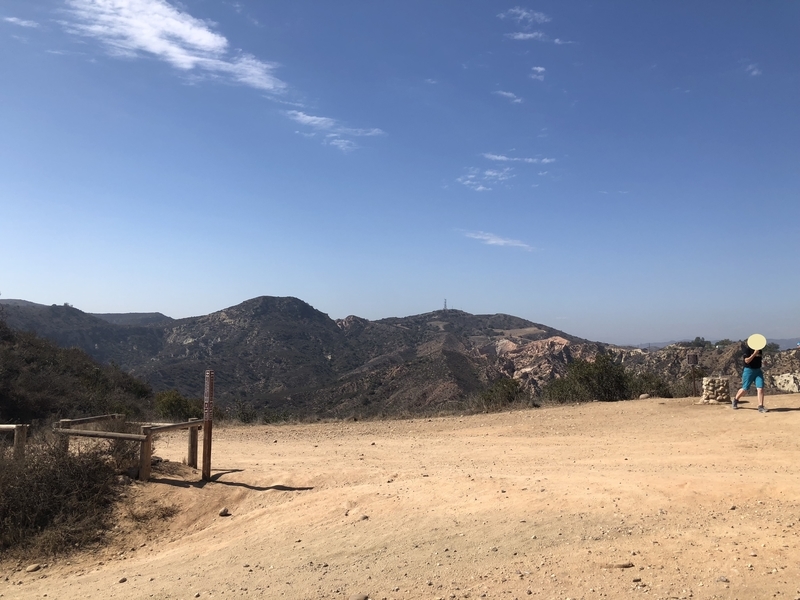 カリフォルニア　自然　マウンテンライオン
