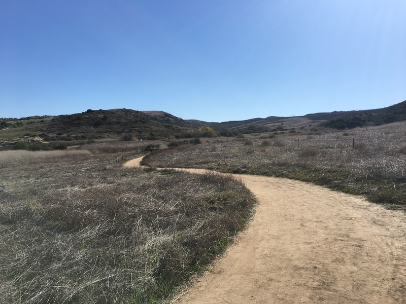 カリフォルニア　アウトドア　自然