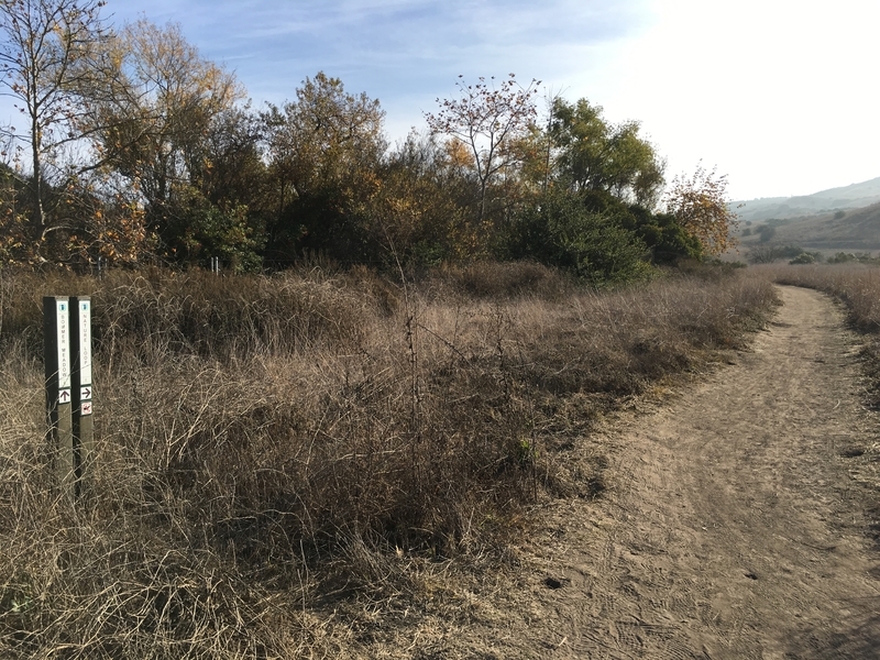 カリフォルニア　アウトドア　自然