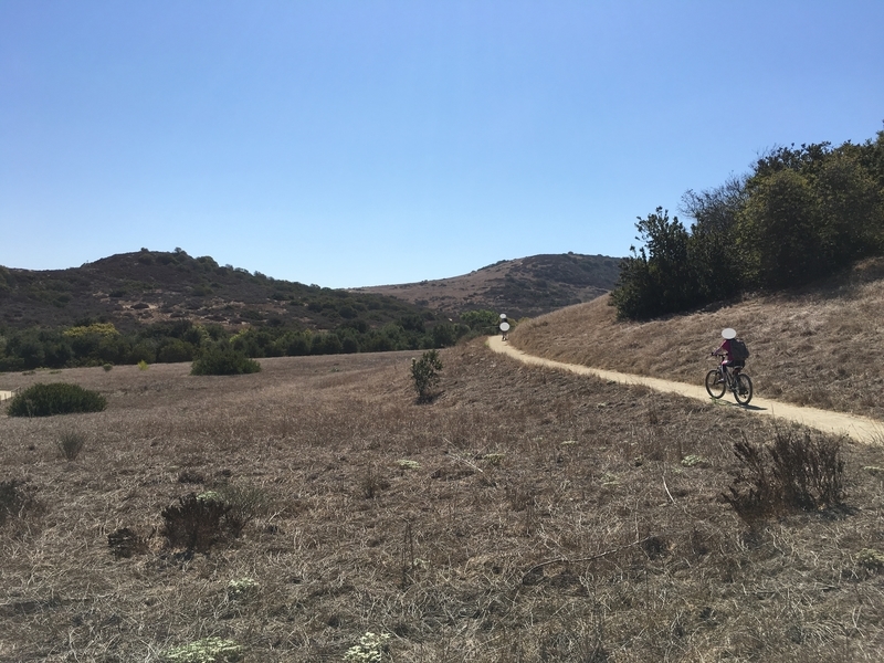 カリフォルニア　アウトドア　自然