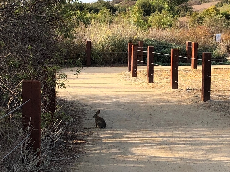 カリフォルニア　アウトドア　自然