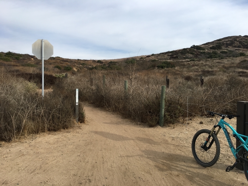 カリフォルニア　アウトドア　自然
