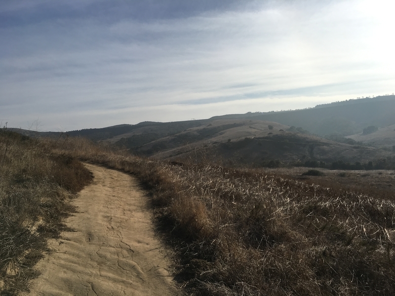カリフォルニア　アウトドア　自然