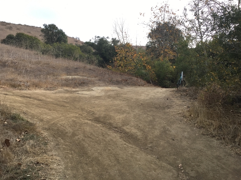 カリフォルニア　アウトドア　自然