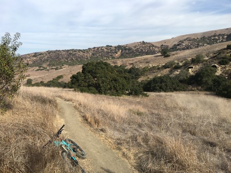 カリフォルニア　アウトドア　自然