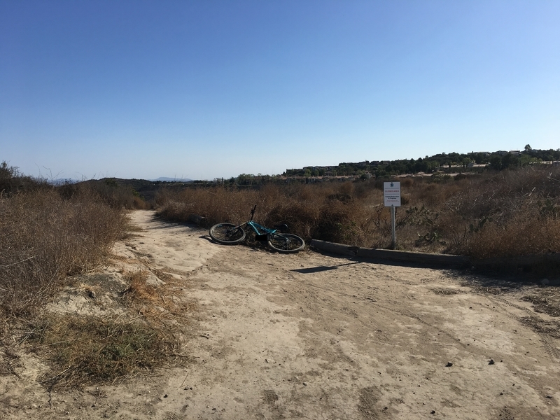 カリフォルニア　アウトドア　自然