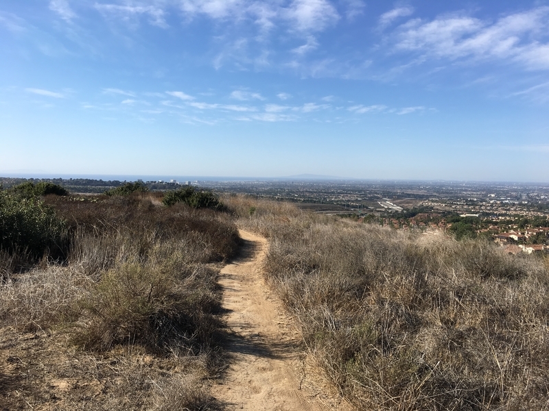 カリフォルニア　アウトドア　自然