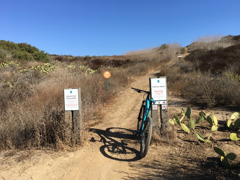 カリフォルニア　アウトドア　自然