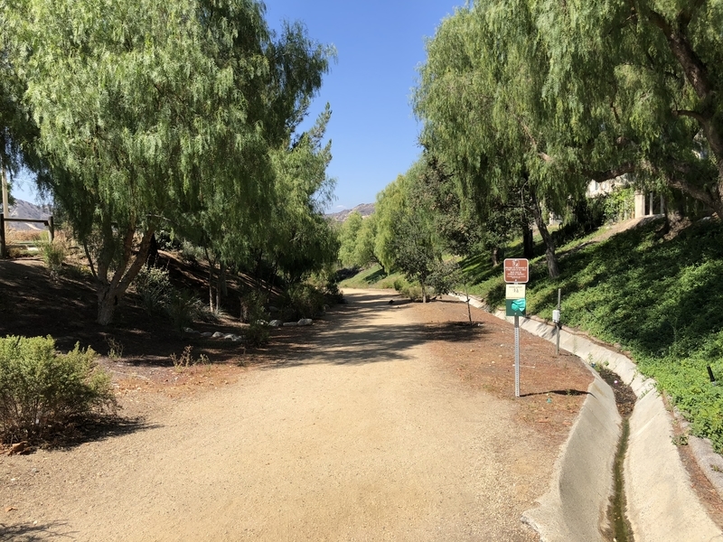 カリフォルニア　自然　マウンテンライオン