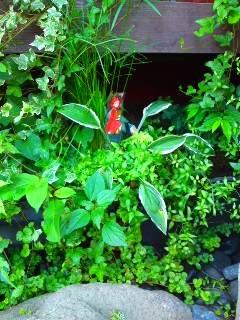 f:id:GOUNN69:20100822103152j:plain