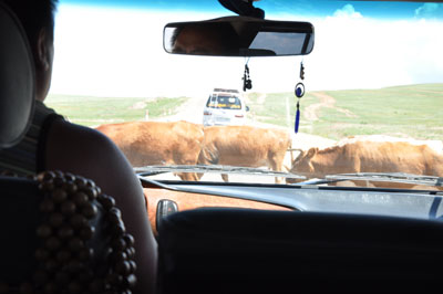 f:id:GOUNN69:20140809061240j:plain f:id:GOUNN69:20140809061240j:plain