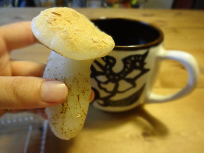 f:id:GOUNN69:20140817090300j:plain