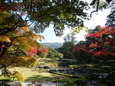 f:id:GOUNN69:20141124164434j:plain