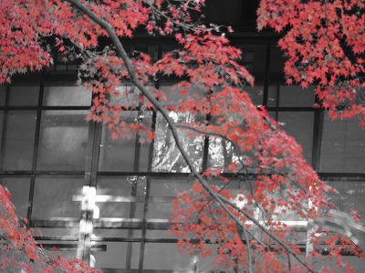 f:id:GOUNN69:20141124170508j:plain