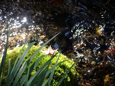 f:id:GOUNN69:20141124170623j:plain