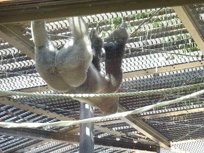 f:id:GOUNN69:20150922091905j:plain