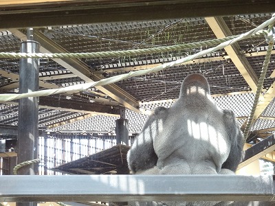 f:id:GOUNN69:20150922091914j:plain