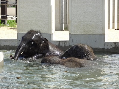 f:id:GOUNN69:20150922091959j:plain