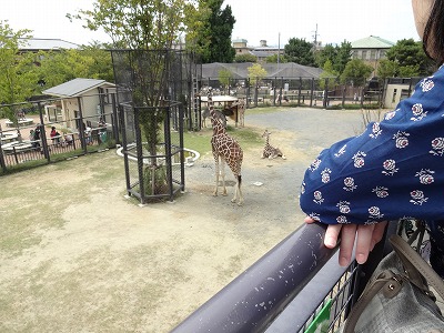 f:id:GOUNN69:20150922092013j:plain