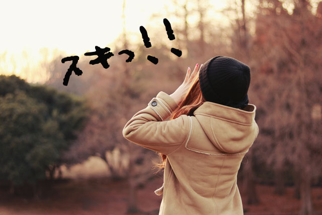 f:id:GOUNN69:20170130223634j:plain