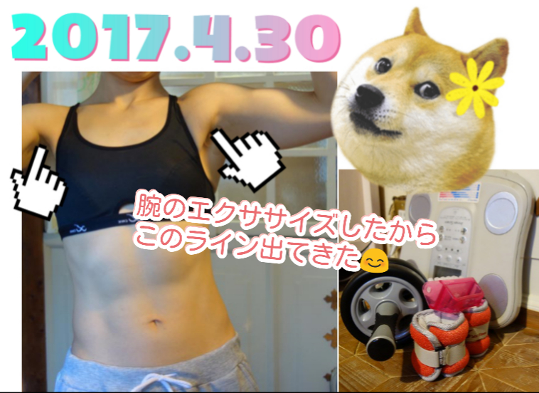 f:id:GOUNN69:20170501060654j:plain