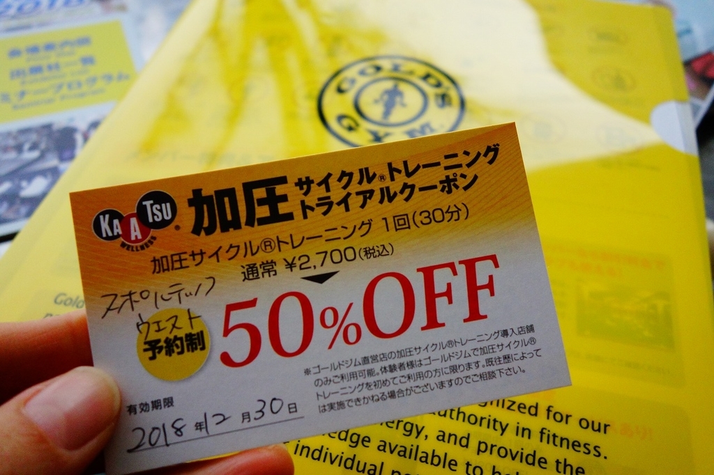 f:id:GOUNN69:20181117072323j:plain