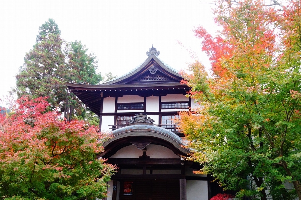 f:id:GOUNN69:20181124094348j:plain