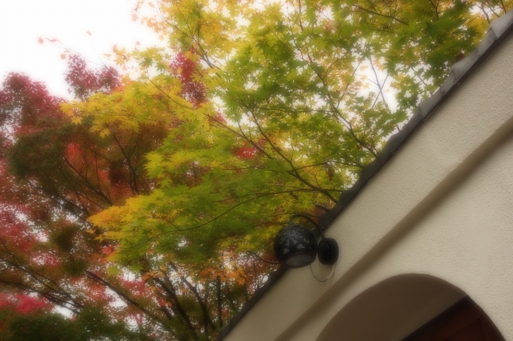 f:id:GOUNN69:20181124094435j:plain