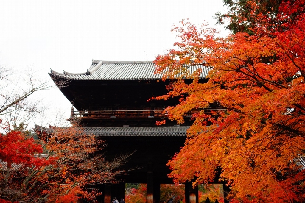 f:id:GOUNN69:20181124094516j:plain