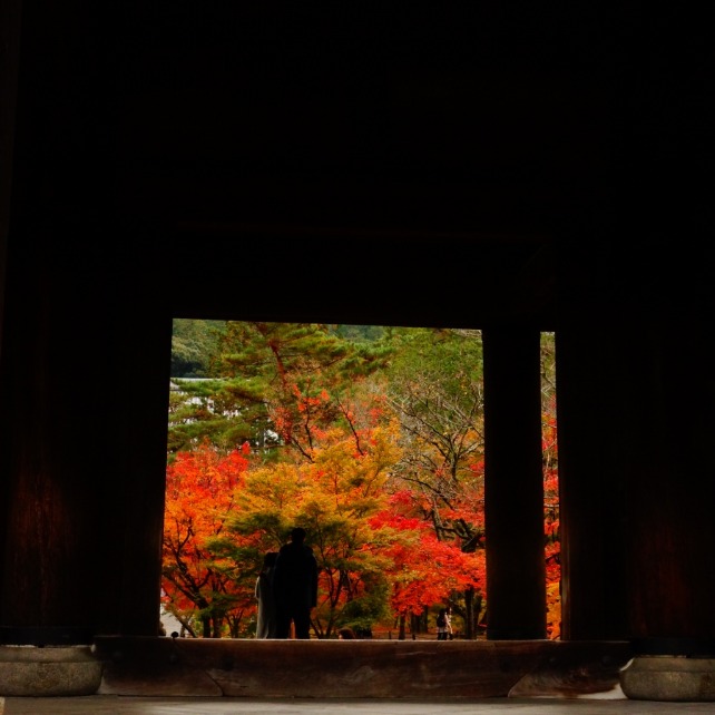 f:id:GOUNN69:20181124094531j:plain