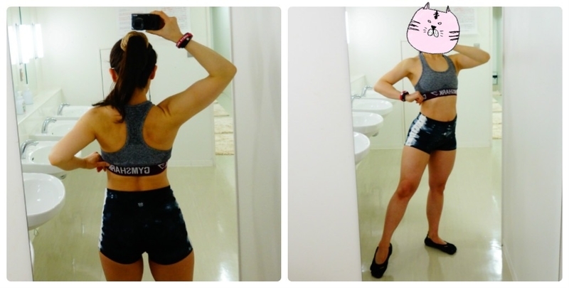 f:id:GOUNN69:20190201194704j:plain f:id:GOUNN69:20190201194704j:plain