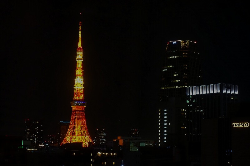 f:id:GOUNN69:20191119202213j:plain