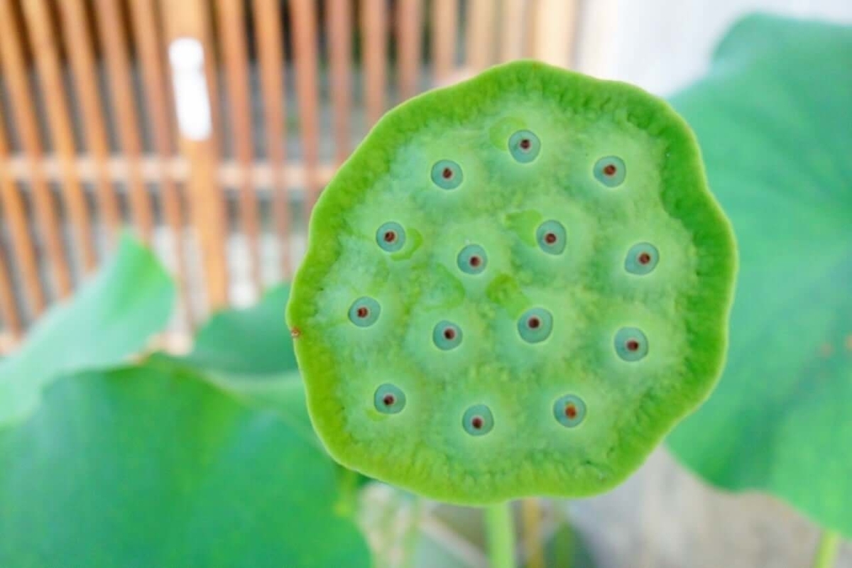 f:id:GOUNN69:20210502100938j:plain