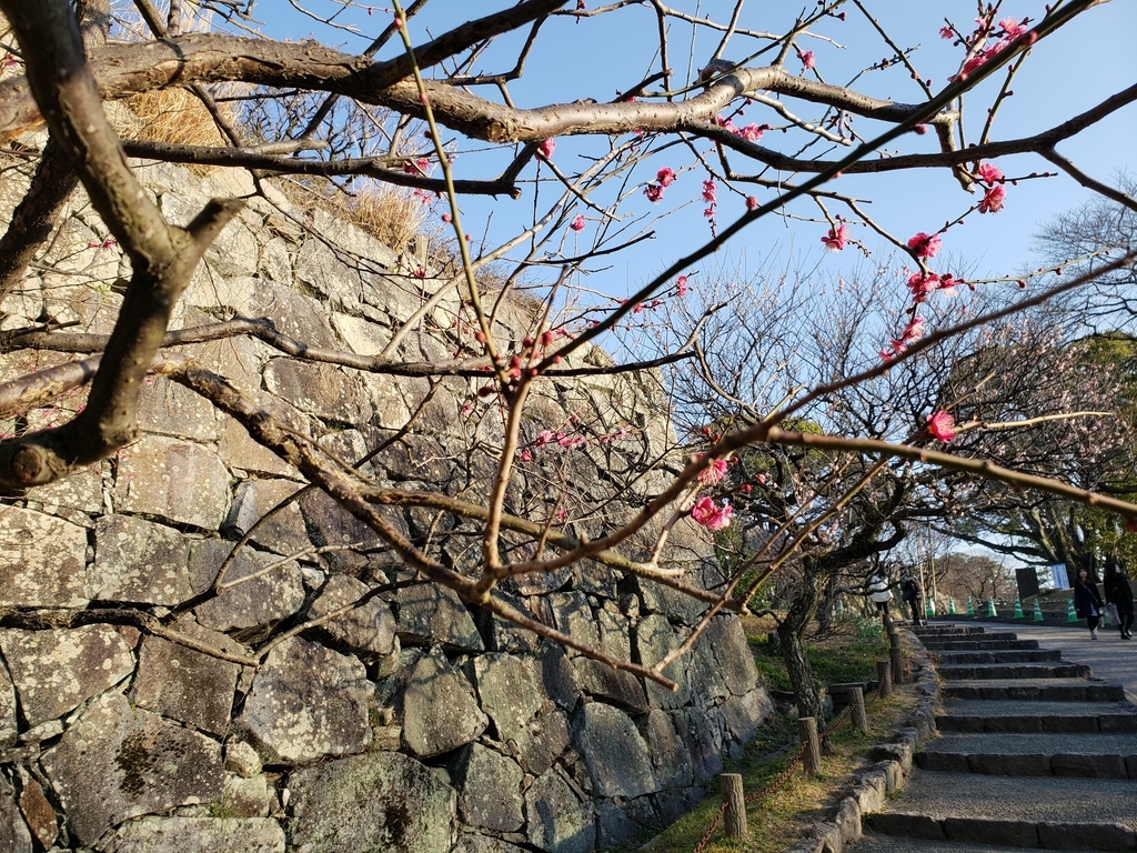 f:id:GOldduck:20190203230635j:plain f:id:GOldduck:20190203230635j:plain