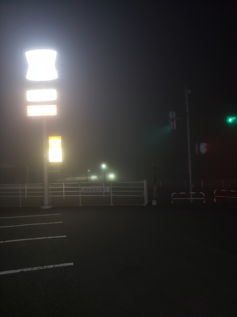 f:id:GOldduck:20190207034159j:plain