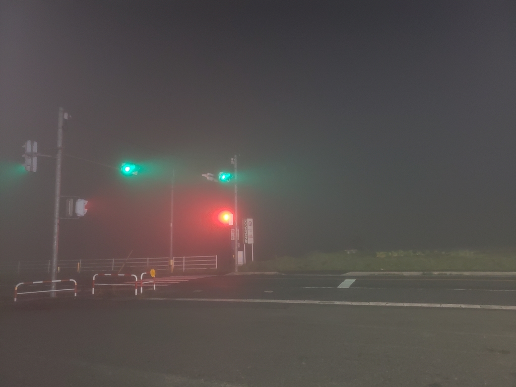 f:id:GOldduck:20190207034903j:plain